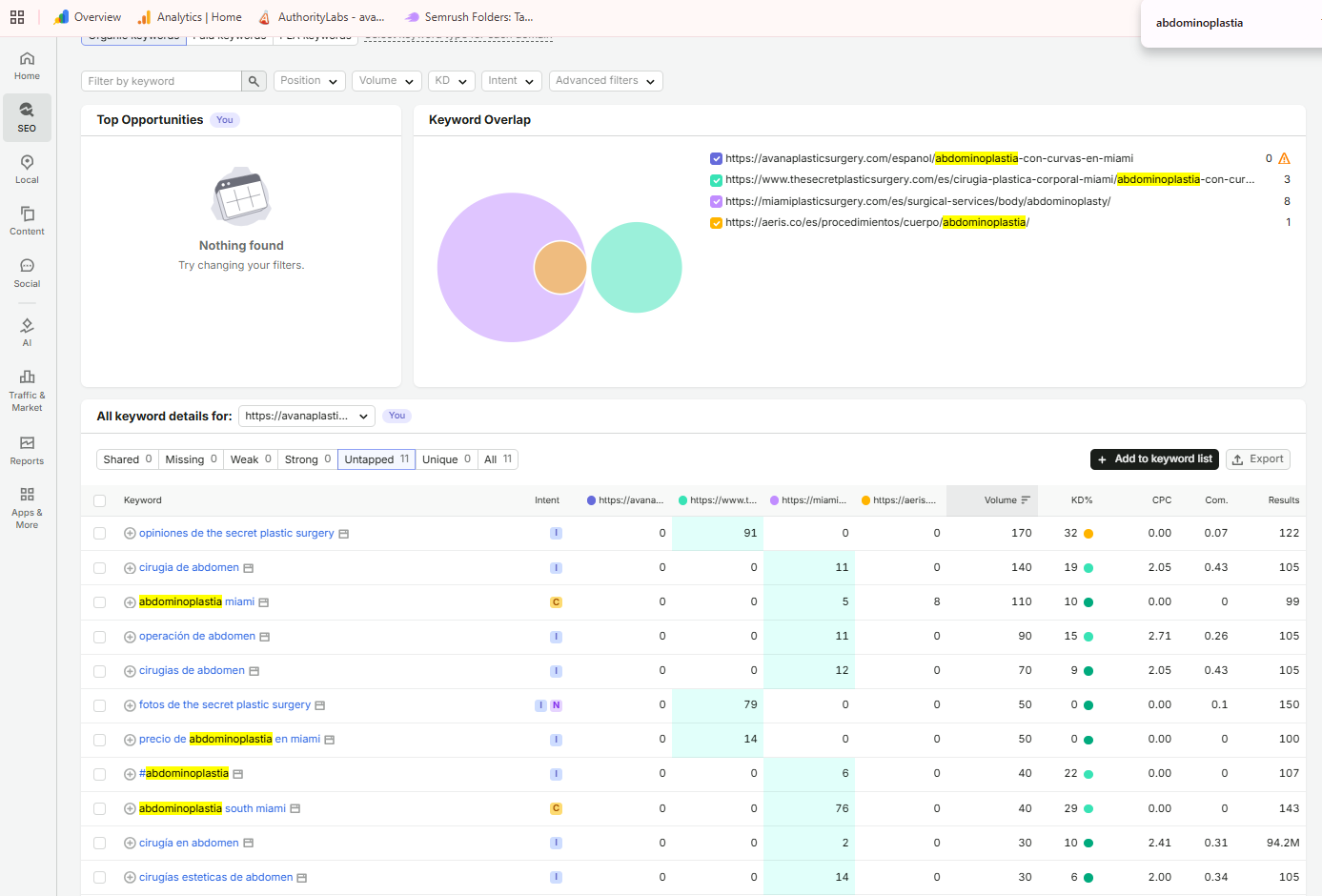 Semrush SEO Analysis