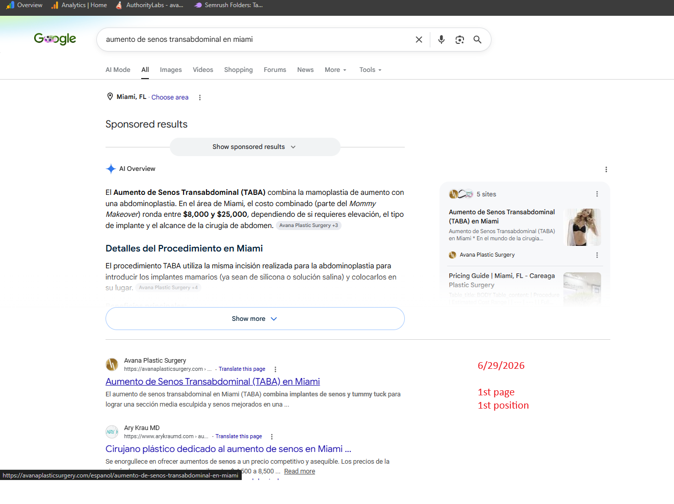 Google SEO Analysis