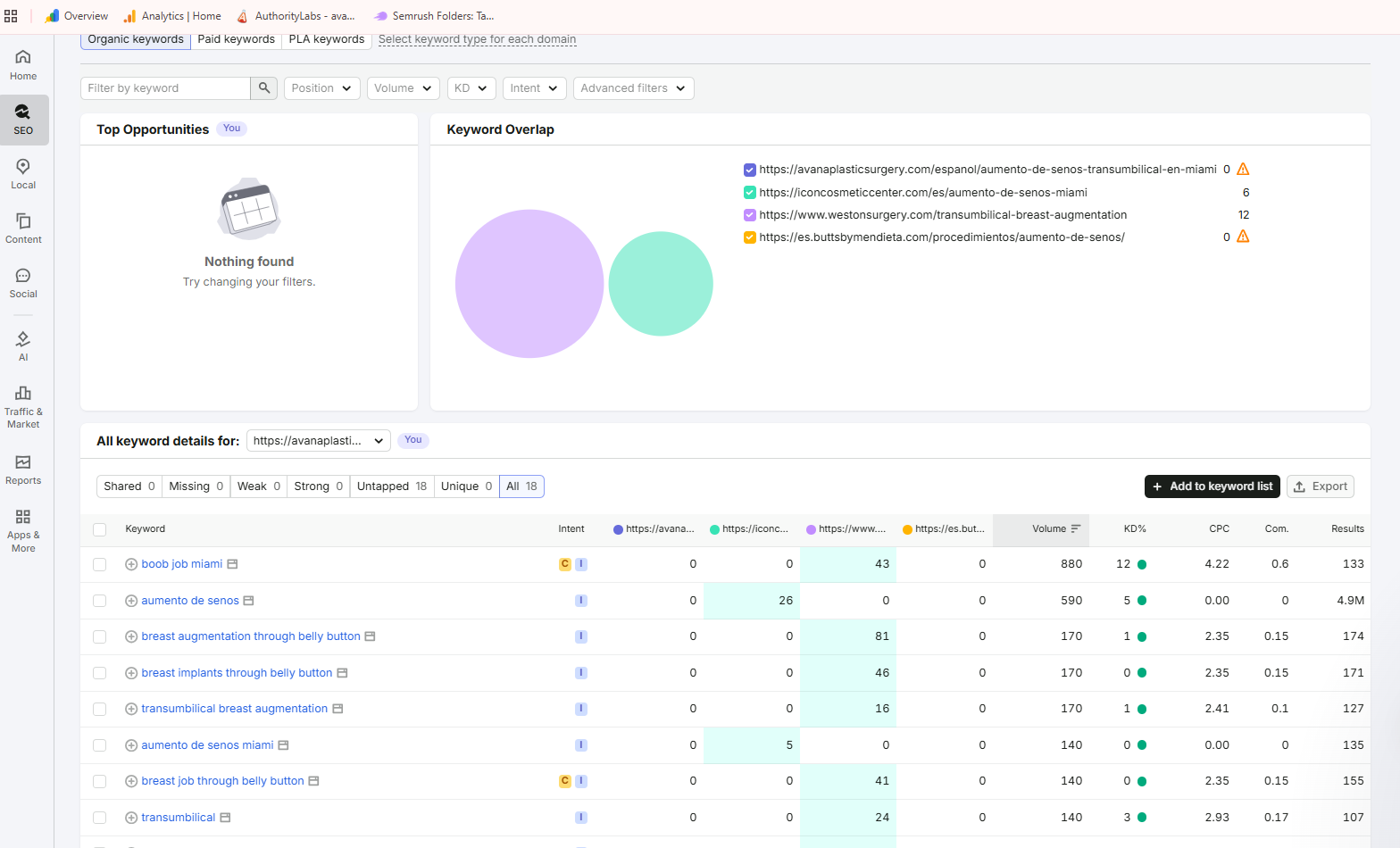 Semrush SEO Analysis