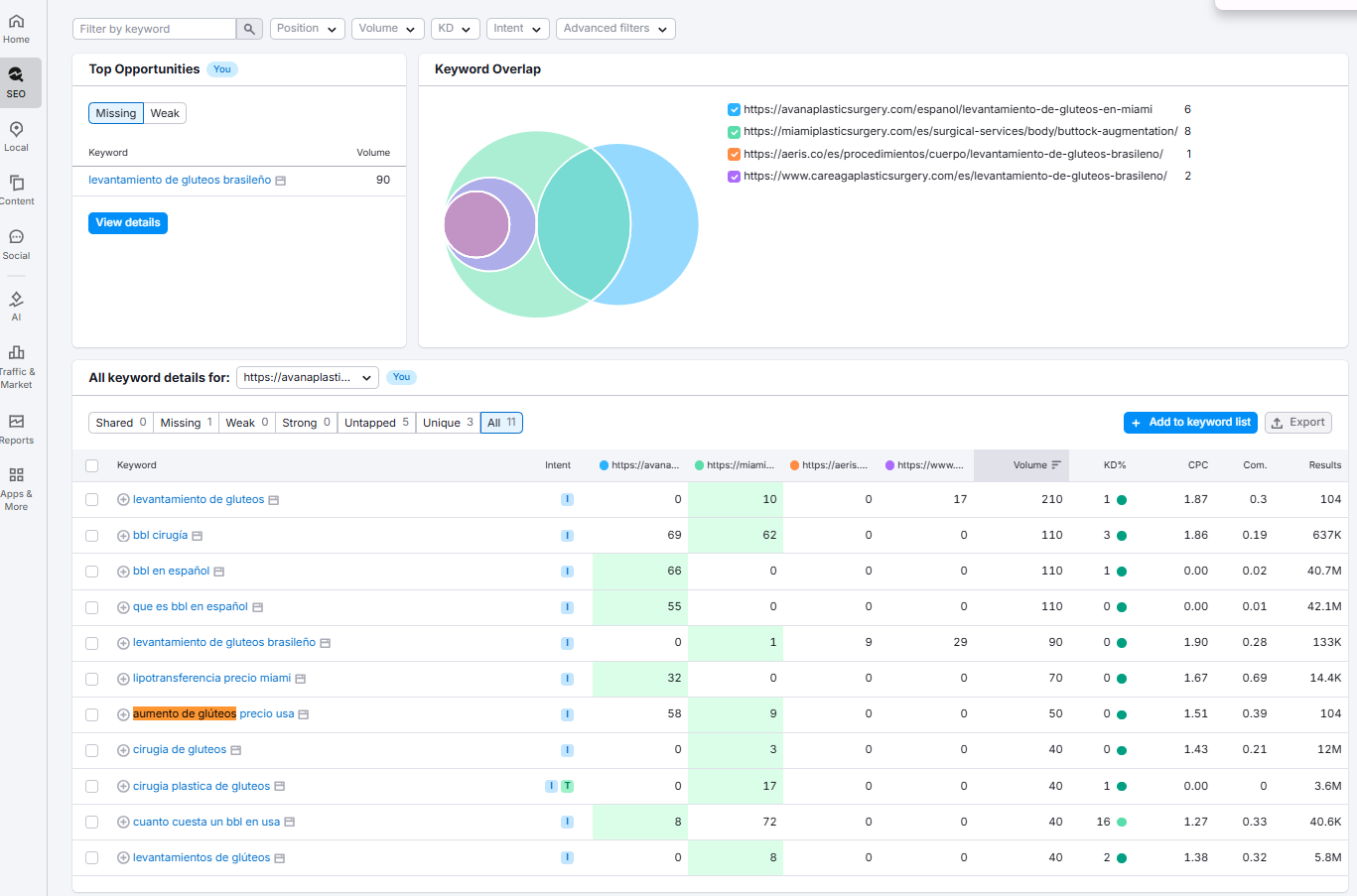 Semrush SEO Analysis