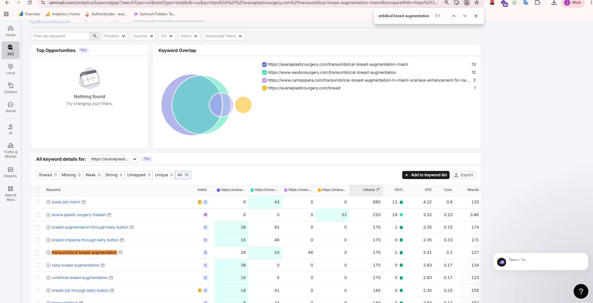Semrush SEO Analysis